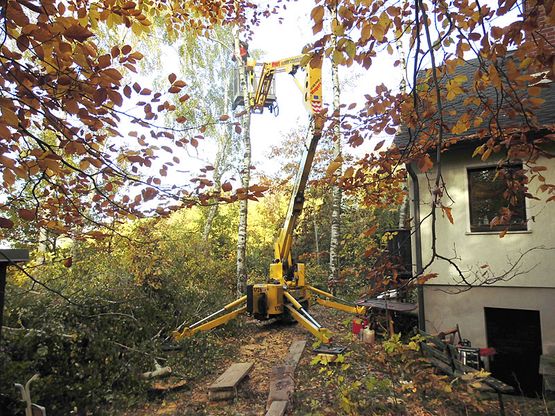 Allroundservice Hausmeister Dirk Baldschus aus Zwickau - Baumfällung mit Hebebühne